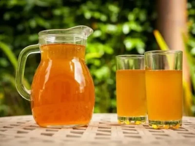 kombucha-simple-en-casa-720x478
